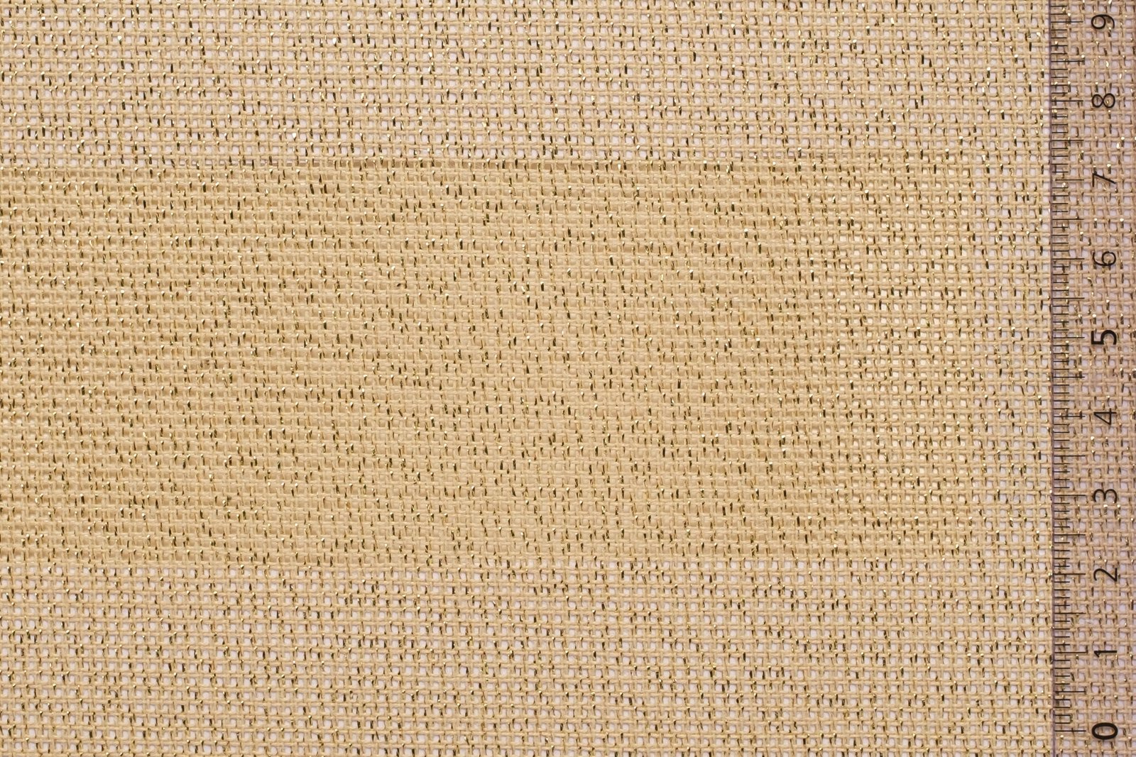 01CAN60BEIGOLxxxCOTLUR[CANVAS 60 No9](GOLD BEIGE)F